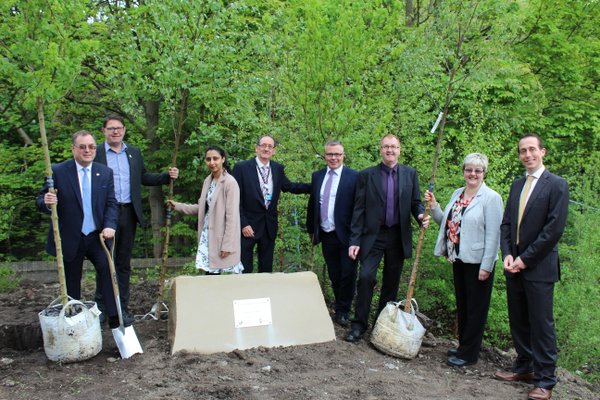 tree planting